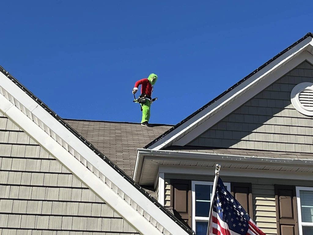 Roof Assessment​